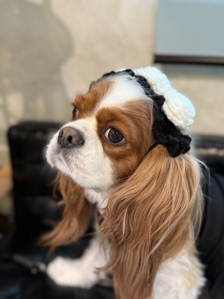 画像5: ローズヘッドドレス (5)