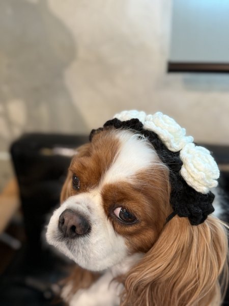 画像3: ローズヘッドドレス (3)