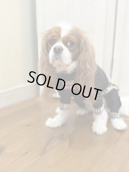 画像10:  ★9月新作★【キャバスーツFRILL】Old Street（オールドストリート） (10)