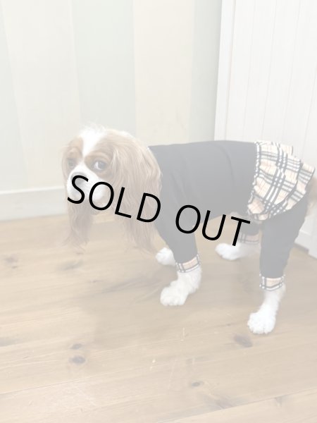 画像9:  ★9月新作★【キャバスーツFRILL】Old Street（オールドストリート） (9)