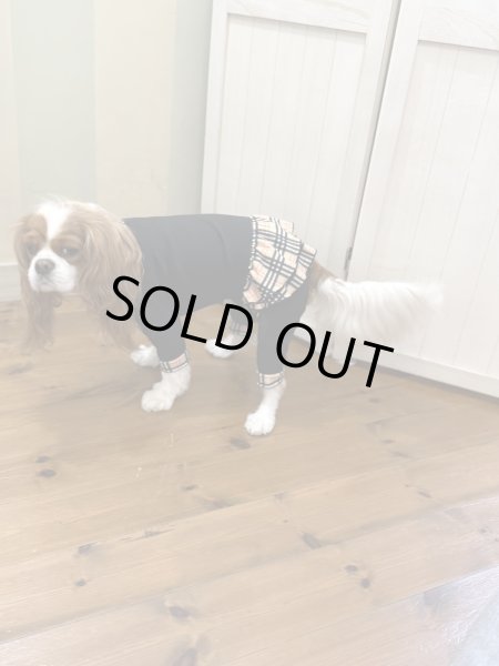 画像8:  ★9月新作★【キャバスーツFRILL】Old Street（オールドストリート） (8)