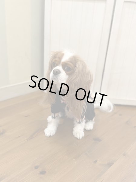 画像7:  ★9月新作★【キャバスーツFRILL】Old Street（オールドストリート） (7)