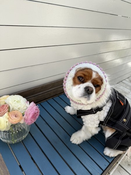 画像3: FFF works☆チューリップ編みスヌード (3)