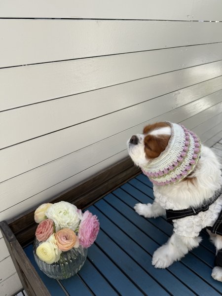 画像2: FFF works☆チューリップ編みスヌード (2)