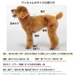 画像6: SUPER LIGHT PUFF VEST スーパーライトパフベスト (6)