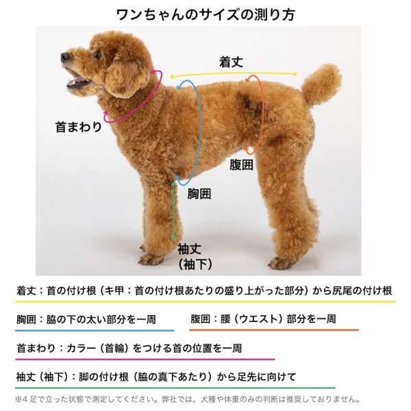 画像6: SUPER LIGHT PUFF VEST スーパーライトパフベスト (6)