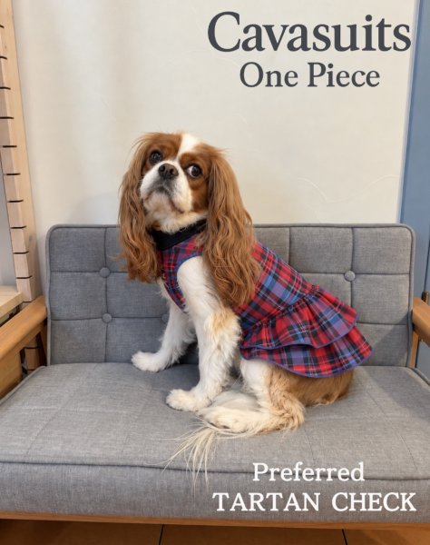 画像1:  【注文受付中】  10月新作 【キャバスーツ ワンピ】Preferred TARTAN CHECK（プリファードタータンチェック） (1)