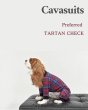 画像2:  【注文受付中】  10月新作 【キャバスーツ LIMITED】Preferred TARTAN CHECK（プリファードタータンチェック） (2)