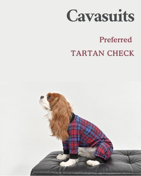 画像2:  【注文受付中】  10月新作 【キャバスーツ LIMITED】Preferred TARTAN CHECK（プリファードタータンチェック） (2)
