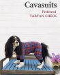 画像1:  【注文受付中】  10月新作 【キャバスーツ LIMITED】Preferred TARTAN CHECK（プリファードタータンチェック） (1)