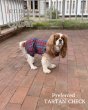 画像1:  【注文受付中】  10月新作  【Jennifer & Colour】BALLOON ROMPERS（バルーンロンパース）Preferred TARTAN CHECK（プリファードタータンチェック） (1)