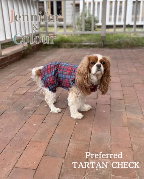 画像1:  【注文受付中】  10月新作  【Jennifer & Colour】BALLOON ROMPERS（バルーンロンパース）Preferred TARTAN CHECK（プリファードタータンチェック） (1)