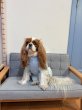 画像4: 【Jennifer & Colour】Mousse Vest：BABY BLUE (4)