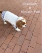 画像4: 【Jennifer & Colour】Mousse Vest：WHITE (4)