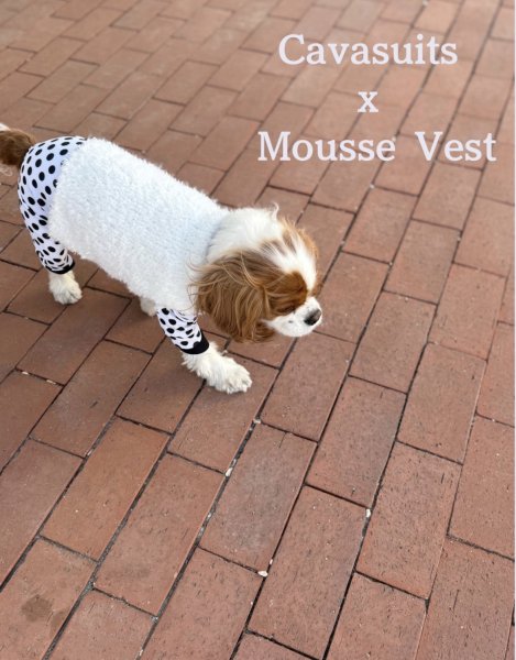 画像4: 【Jennifer & Colour】Mousse Vest：WHITE (4)