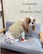 画像3: 【Jennifer & Colour】Blossom Vest：Mebuki（芽吹き） (3)