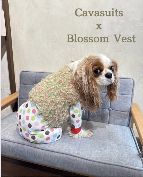 画像3: 【Jennifer & Colour】Blossom Vest：Mebuki（芽吹き） (3)