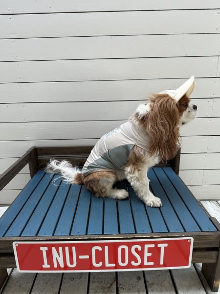 画像11: FUTURE COOL TANK (11)