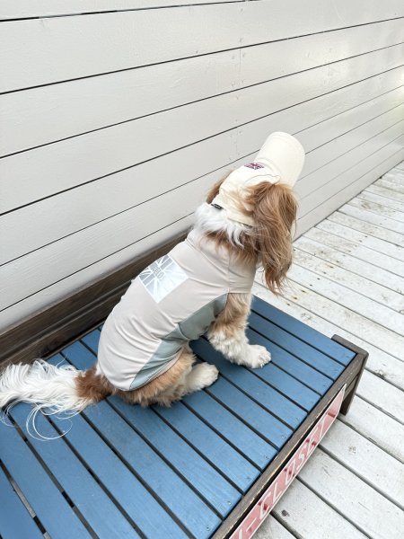 画像10: FUTURE COOL TANK (10)