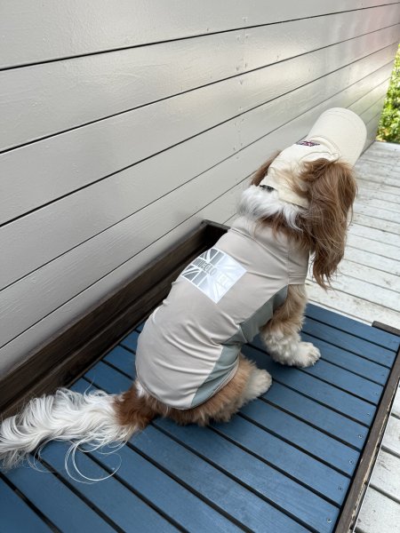 画像12: FUTURE COOL TANK (12)