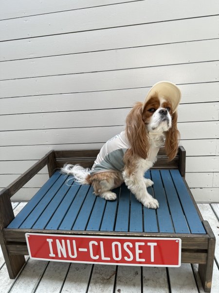 画像13: FUTURE COOL TANK (13)