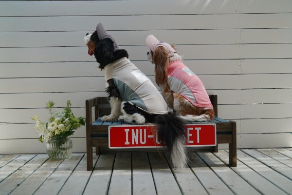 画像5: FUTURE COOL TANK (5)