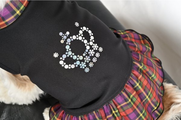 画像6: FUTURE COOL TANK (6)