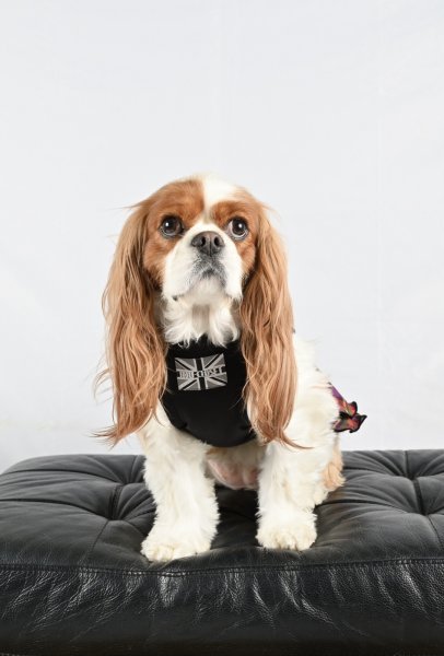 画像7: FUTURE COOL TANK (7)