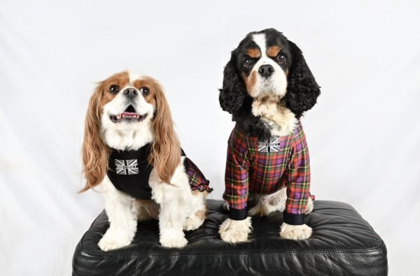 画像3: FUTURE COOL TANK (3)