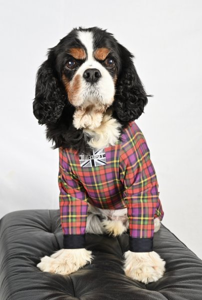 画像4: FUTURE COOL TANK (4)