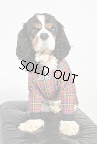 画像6:  ★9月新作★【キャバスーツLIMITED 】Little Rock（リトルロック） (6)