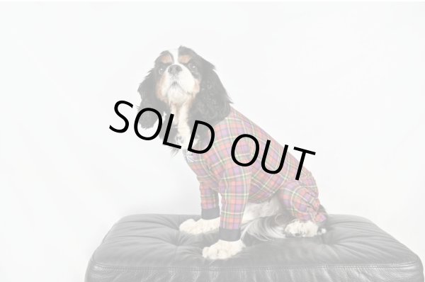 画像5:  ★9月新作★【キャバスーツLIMITED 】Little Rock（リトルロック） (5)