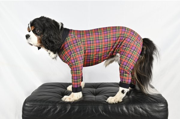 画像8: FUTURE COOL TANK (8)