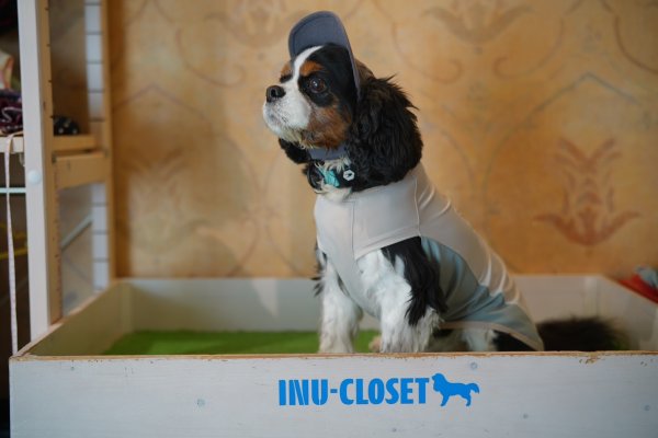 画像9: FUTURE COOL TANK (9)