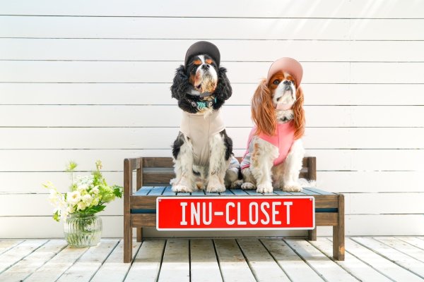 画像2: FUTURE COOL TANK (2)