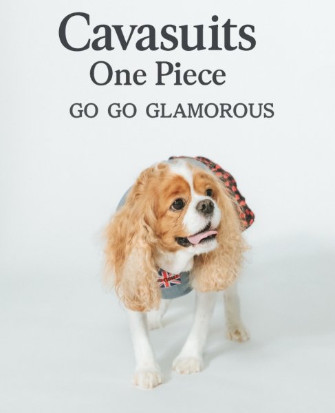 画像3:  【注文受付中】  10月新作 【キャバスーツ ワンピ】GO GO GLAMOROUS（ゴーゴーグラマラス） (3)