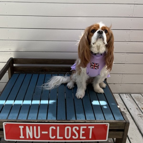 画像12:  Ｍサイズ・カラー限定 【残り1着】Cavasuits チアワンピ (12)