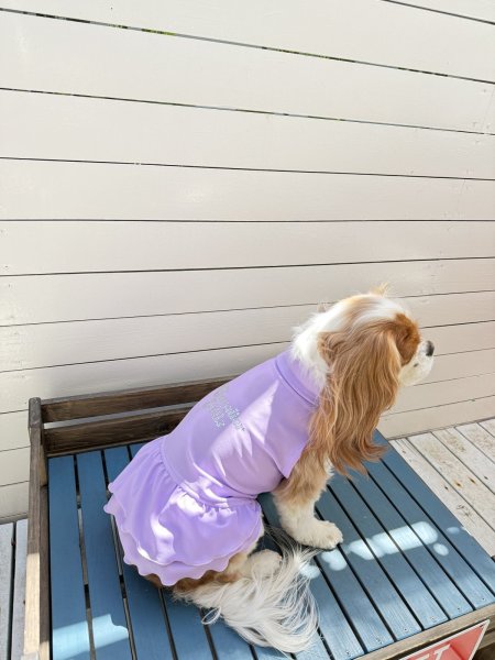 画像13:  Ｍサイズ・カラー限定 【残り1着】Cavasuits チアワンピ (13)