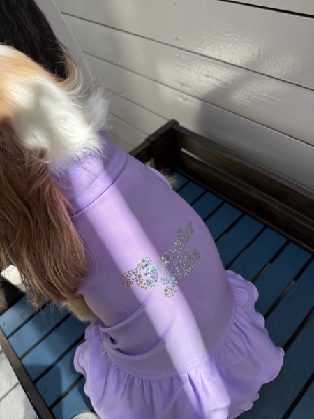 画像9:  Ｍサイズ・カラー限定 【残り1着】Cavasuits チアワンピ (9)