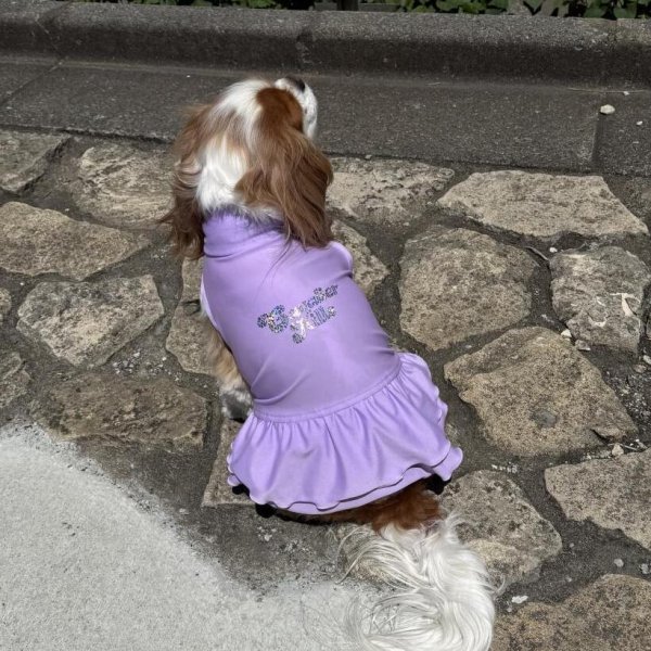 画像11:  Ｍサイズ・カラー限定 【残り1着】Cavasuits チアワンピ (11)