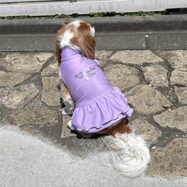 画像14:  Ｍサイズ・カラー限定 【残り1着】Cavasuits チアワンピ (14)