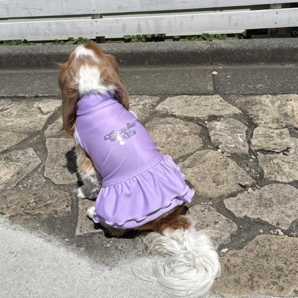 画像22:  Ｍサイズ・カラー限定 【残り1着】Cavasuits チアワンピ (22)