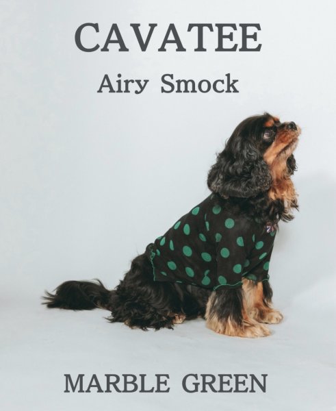 画像1:  【注文受付中】  10月新作 【CAVA TEE】Airy SMOCK：MARBLE GREEN / MARBLE BLUE (1)