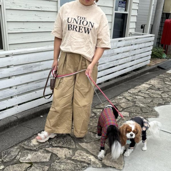 画像5: 【UNION BREW】VINTAGE LOGO TEE (5)