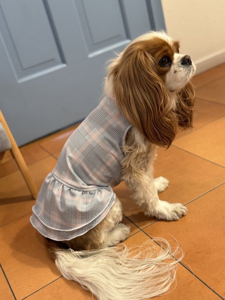 画像5:  【注文受付中】  4月新作 【キャバスーツ ワンピ】OFFICIAL PINK（オフィシャルピンク） (5)