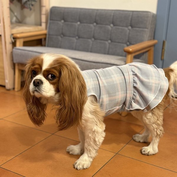 画像1:  【注文受付中】  4月新作 【キャバスーツ ワンピ】OFFICIAL PINK（オフィシャルピンク） (1)