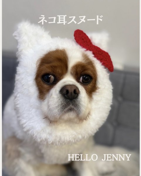 画像3: ネコ耳スヌード☆HELLO JENNY (3)