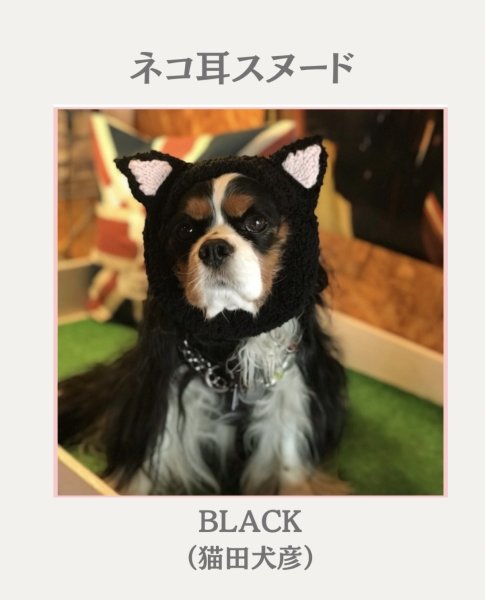 画像2: ネコ耳スヌード☆ブラック（猫田犬彦） (2)