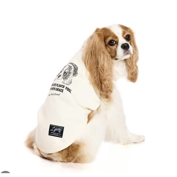 画像2: LIFELIKE ドッグタイプタンク：キャバリアデザイン (2)