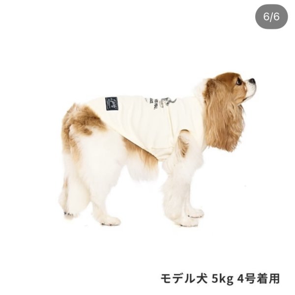 画像5: LIFELIKE ドッグタイプタンク：キャバリアデザイン (5)